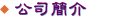 Intruduce Company